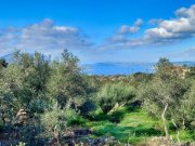 Kampia Chania Kreta, Kampia: Grundstück mit Meerblick in der Nähe des Dorfzentrums zu verkaufen Grundstück kaufen